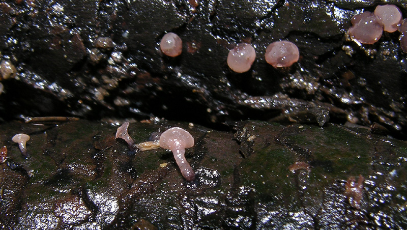 Ritrovamenti 14 maggio.